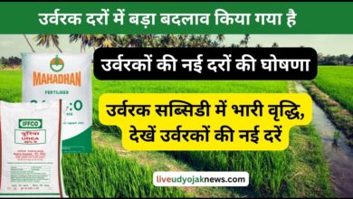 Fertilizer Subsidy