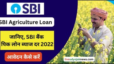SBI Agriculture Loan