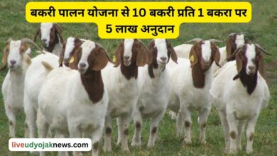 Goat farming