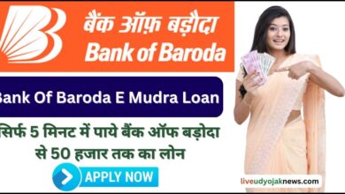 Bank Of Baroda E Mudra Loan 2022-23