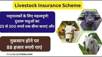 Livestock Insurance