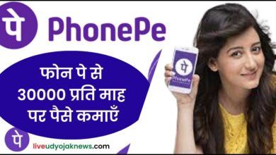 How to Earn Money From Phonepe