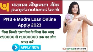 PNB e Mudra Loan Online Apply 2023