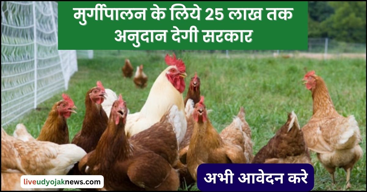 Poultry Farming Subsidy 2023