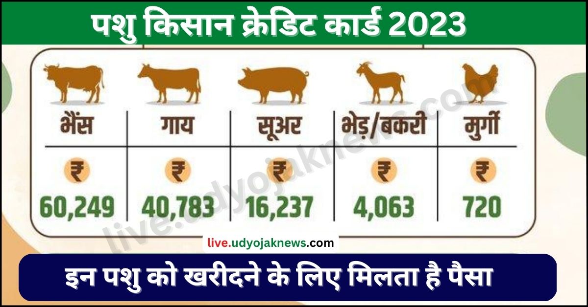 Animal Husbandry 2023: किसानों के घर में गाय है तो 60,783 रु. और भैंस हो तो  70,249/ रुपये मिलेंगे| - Live News