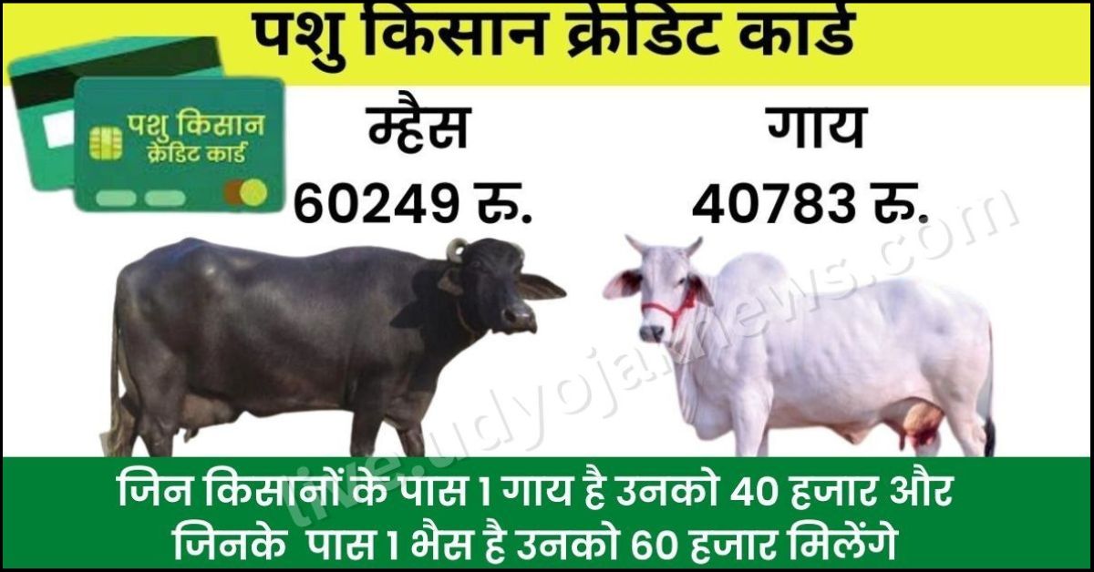 Animal Husbandry 2023: किसानो को गाय है तो रु 40000 भैस है तो रु 60000  मिलेगा, अभी करे अप्लाई? - Live News