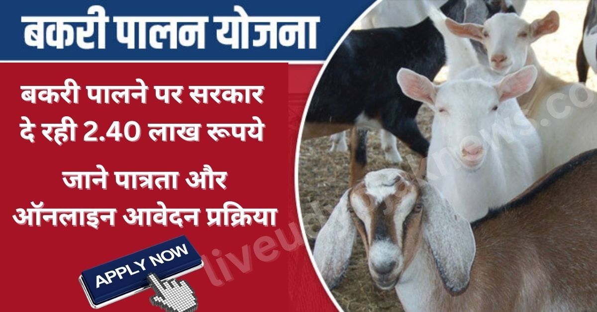Bihar Goat Farming