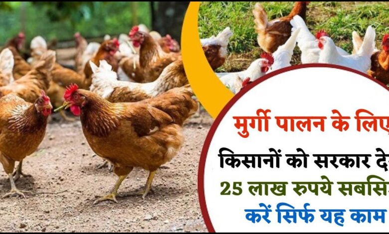 How to Apply Poultry Farm Subsidy