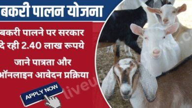 Bihar Goat Farming Loan 2023