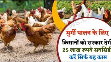 Poultry Farming Loan Apply 2023