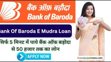 BOB E Mudra Loan Apply 2023