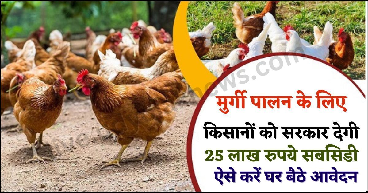Poultry Farming Apply