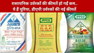 Agricultural Fertilizers Latest Price