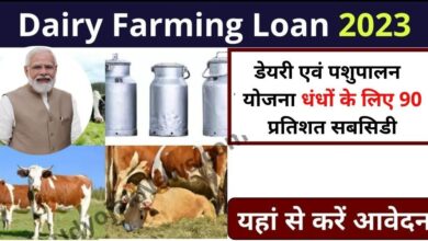 Apply Dairy Farming Loan