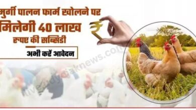 Poultry Farming Apply 2023