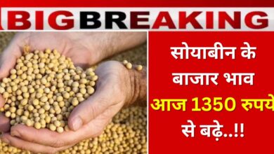 Soyabean Rate 24 October