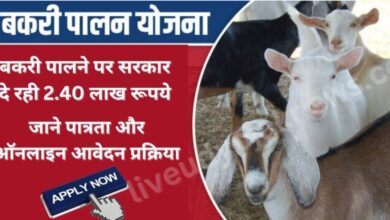 Bihar Goat Farming 2024